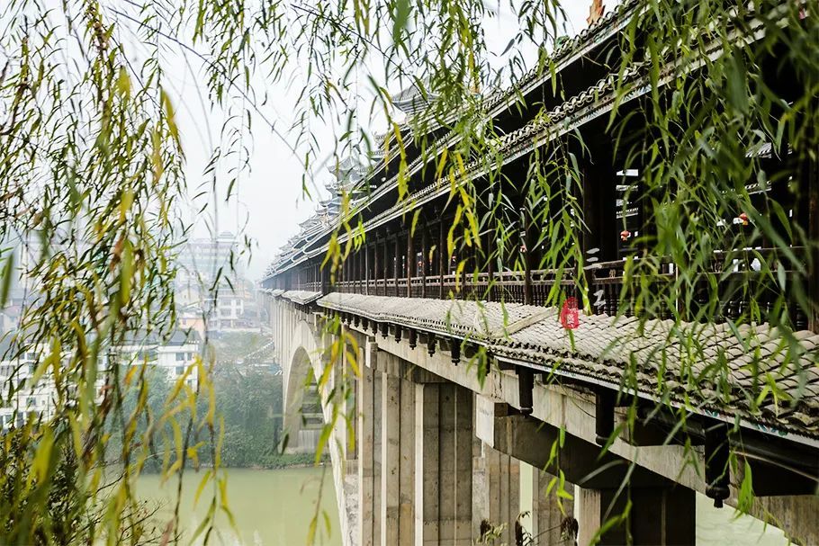 广西有座世界第一电竞菠菜外围app风雨桥曾有英国建筑师来学习多年却无法复制