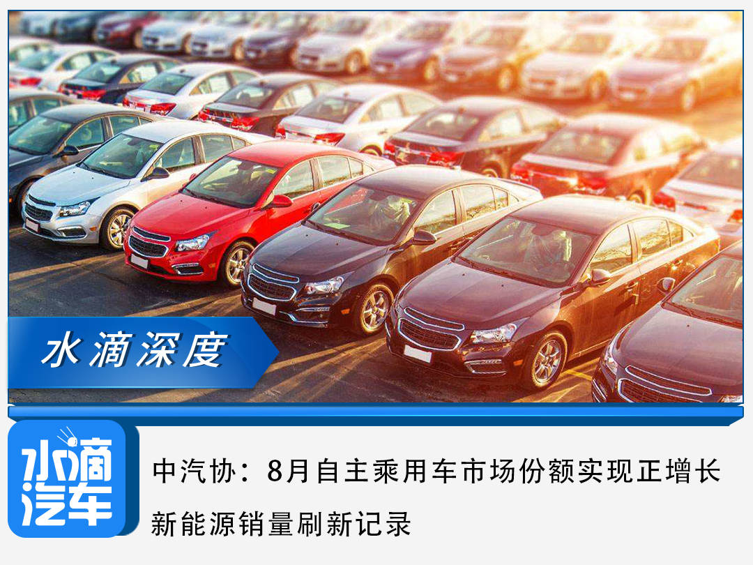 中汽协：8月自电竞菠菜外围app主乘用车市场份额实现正增长新能源销量刷新记录